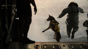 26 Awesome Photos of War Dogs Showing How Badass and Cute They Can Be