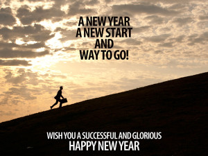wish may new year brings joy a new start