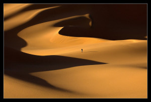 have always loved the desert. One sits down on a desert sand dune ...
