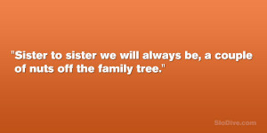 Related Pictures funny sister quotes funny quotes about sisters