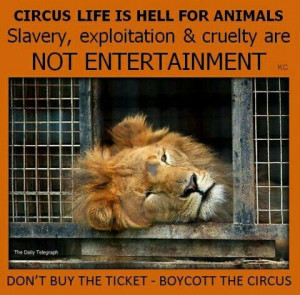Say no to the circus!