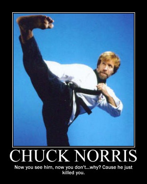 Chuck Norris poster by AethSphere