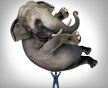 Our fourth post in a series supporting Global Entrepreneur Week (GEW ...