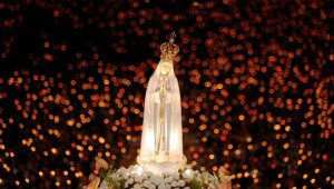 Our Lady of #Fatima candle lit procession at the Marian Shrine in # ...