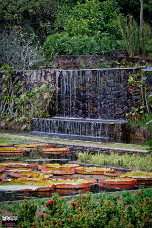 Fazenda Vargem Grande, Jardins de Roberto Burle Marx - Areias, SP ...