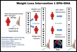 schema of Dr. Fabian’s omega-3 and weight loss trial and when the ...