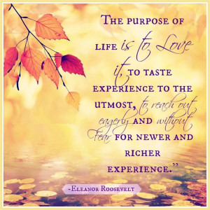 The Purpose Of Life Is To Love It, To Taste Experience To The Utmost ...