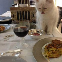 karl lagerfeld book of quotes slated for fall release wwd karl ...