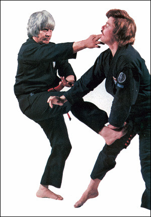 ... Kenpo Meaningful quotes from Ed Parker --Encyclopedia of Kenpo a