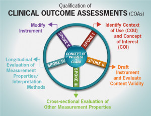 The Clinical Oute Assessment Wheel And Spokes Diagram Identifies