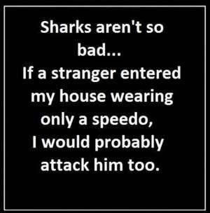 funny quotes sharks
