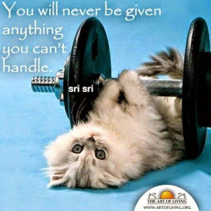 Sri Sri Ravi Shankar Quotes