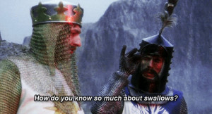 ... Class movie quotes 1975 , Monty Python and the Holy Grail quotes