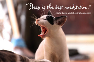 It’s no secret that cats love to sleep, that’s probably why they ...