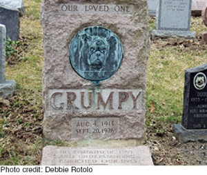 Hartsdale Pet Crematory News