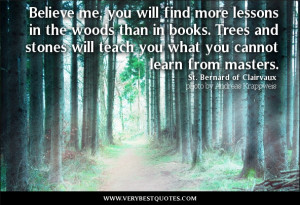 learning quotes, Believe me, you will find more lessons in the woods ...