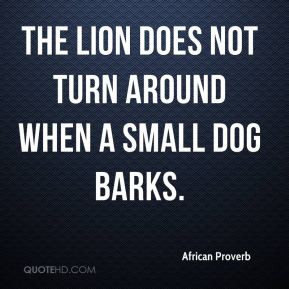 african-proverb-quote-the-lion-does-not-turn-around-when-a-small-dog ...
