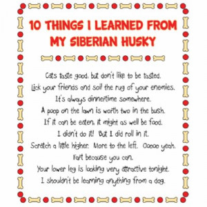 Funny Things I Learned From My Siberian Husky Photo Sculptures by ...