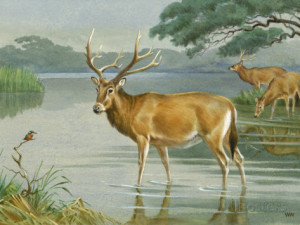 This Painting Depicts Milu Deer Standing in Water Stampa fotografica