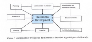Figure 1. Components of professional development as described by ...