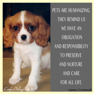 Leave a Comment Cancel Reply