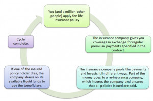 Here’s a Chart Explaining How Life Insurance Works in General: