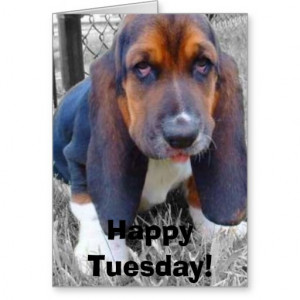 big_dog, Happy Tuesday! Greeting Card
