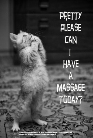 Pretty please can I have a massage today?Dogs, Animal Baby, Sweets ...