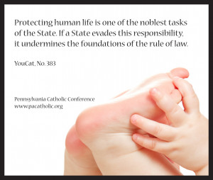 Pennsylvania abortion rates are declining. In 2012, there were 34,536 ...