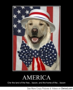 Tags: dog motivational 4th of july july 4th