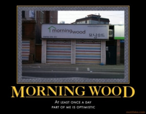 morning-wood-aprchallenge-morning-wood-morning-optimism-demotivational ...
