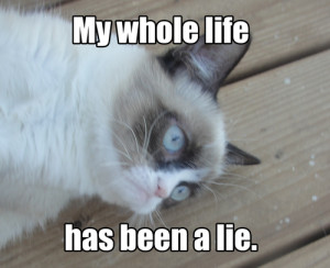 Grumpy Cat -My whole life has been a lie.