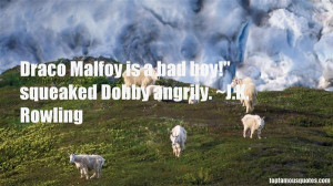 Dobby Quotes