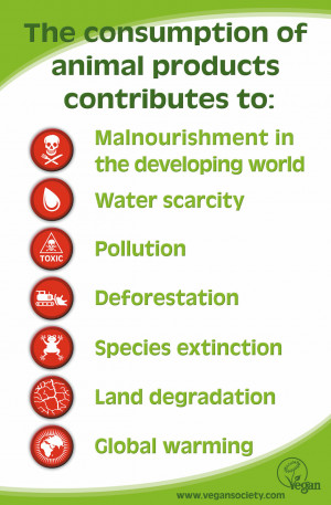 Non-Nutritional Reasons to Go Meatless