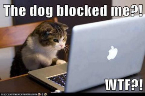 Dog Blocked The Cat On Facebook