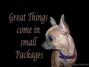 great things come in small packages