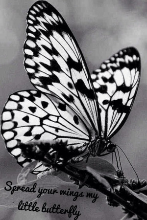 Spread your wings my little butterfly x