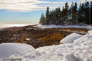 Acadia National Park Winter...