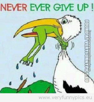 Funny Picture - Never give up