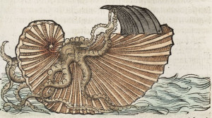 from Conrad Gesner’s Fischbuch, 1563: Nautilus, Dashboards, Start ...