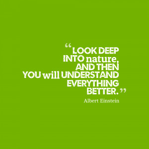 Daily Quotes: Albert Einstein “Look deep into nature and then…