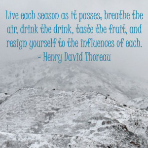 Henry David Thoreau quote