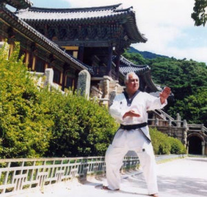 Taekwondo Itf Guide Inter Martial Arts
