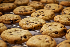 ... 500 gastronomyfiles: Chocolate Chip Cookie Third edition :) (by