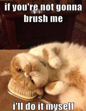 If you’re not gonna brush me