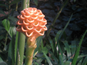 Displaying 16> Images For - 8 Seconds Movie Quotes Tuff...