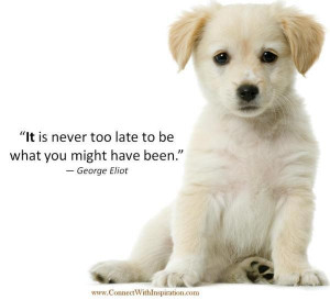 Life it is never too late to be quote