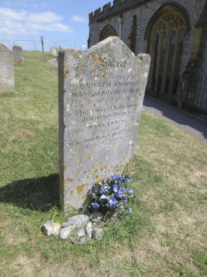 Mary Anning Quotes Mary anning's family grave in