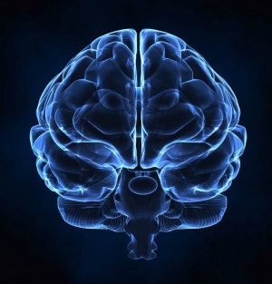Neuroscience Evidence Changes Thinking