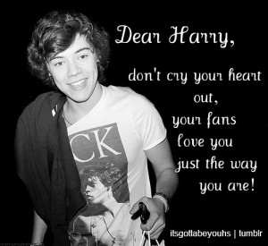 Harry Styles Quotes About Fans Concert, fan, harry styles,